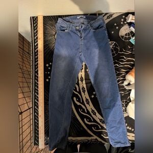 Stylish Blue Women's Skinny Jeans